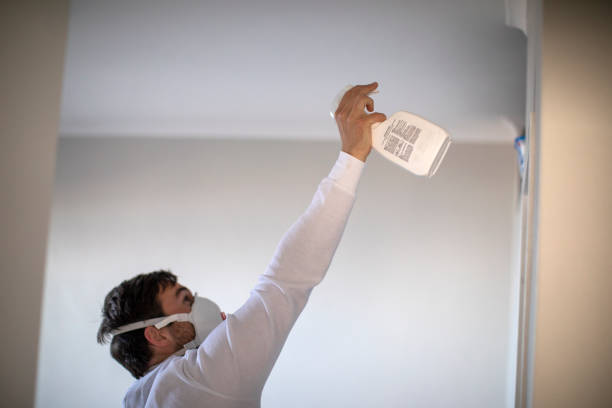 Best Crawl Space Mold Removal  in North Adams, MA
