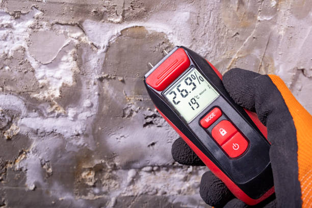 Best Mold Damage Repair  in North Adams, MA